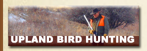 Upland Bird Hunting