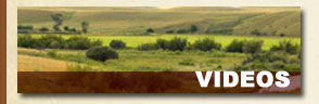 Shoco Ranch Videos